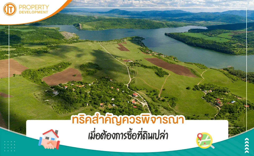 sarithorn--1671176654-937