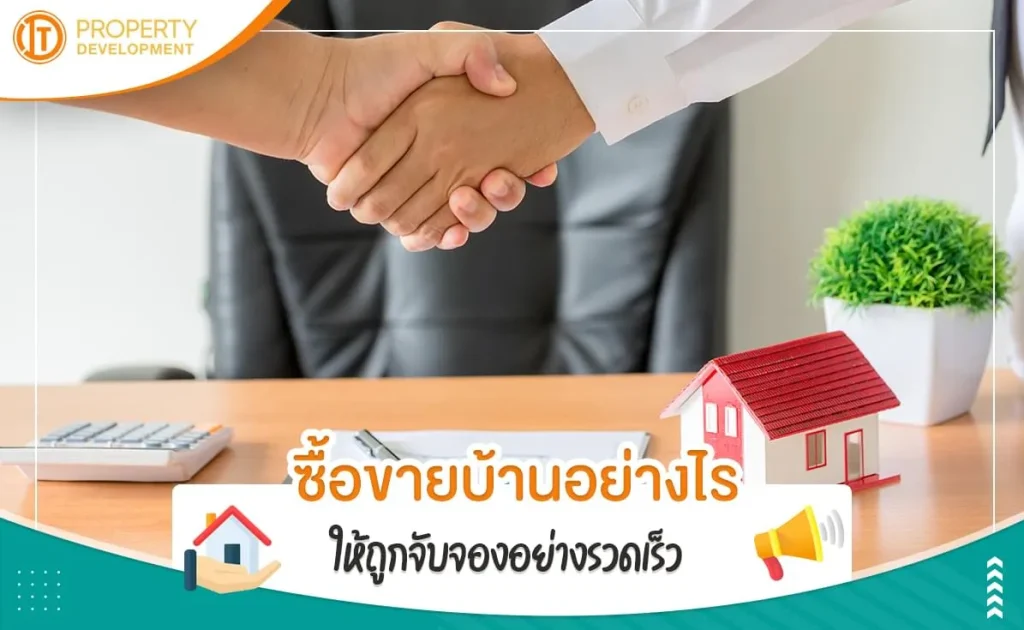 sarithorn-banner-article37jpg-1668564467-216