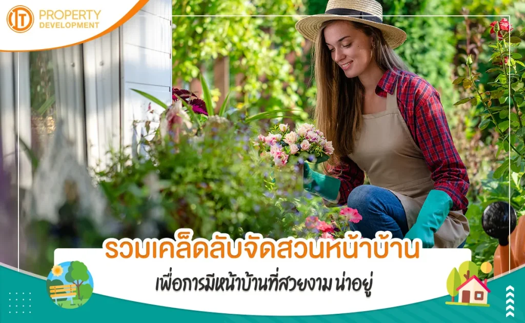 sarithorn-banner-article57jpg-1688694584-138