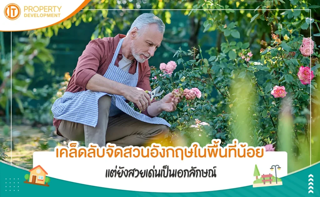 sarithorn-banner-article58jpg-1688694928-699