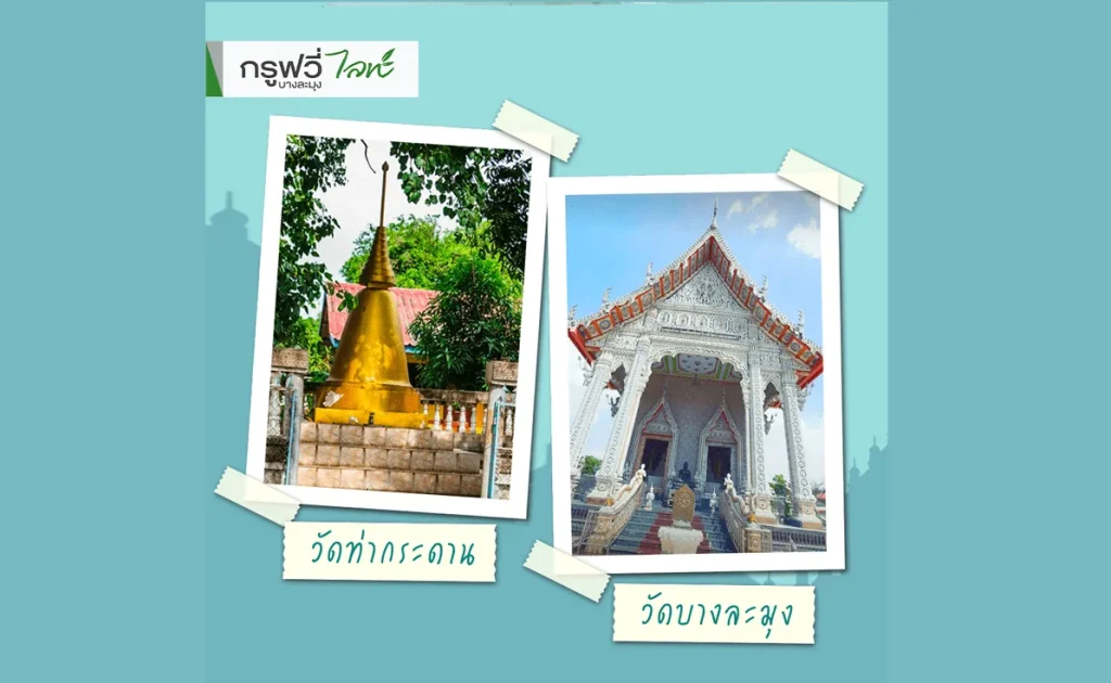 sarithorn-groovy-light-banglamung-news-a-1635342206-294